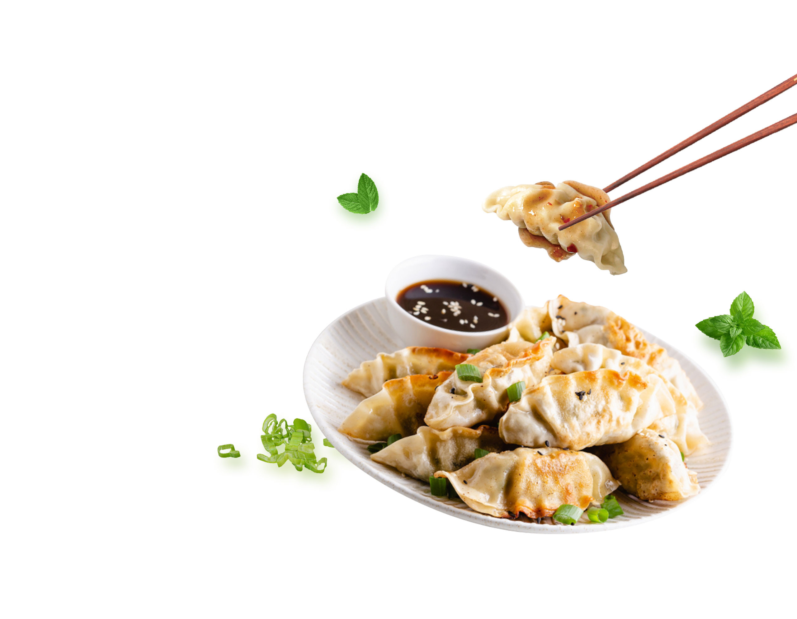 Bienvenido - Descuento